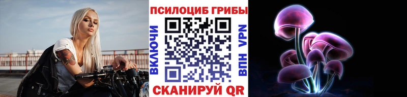 Купить закладки  Слюдянка  Псилоцибиновые грибы прущие грибы 